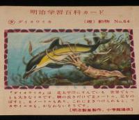 【空箱】明治学習百科カード64 ダイオウイカ　明治キャラメル中箱