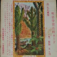 【空箱】明治学習百科カード73 化石植物　明治キャラメル中箱