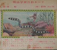 【空箱】明治学習百科カード76 海蛇　明治キャラメル中箱