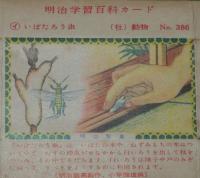 【空箱】明治学習百科カード386　いぼたろう虫　明治キャラメル中箱