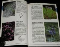【洋書】Field Guide to Alaskan Wildflowers　アラスカの野生の花のフィールドガイド