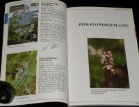 【洋書】Field Guide to Alaskan Wildflowers　アラスカの野生の花のフィールドガイド