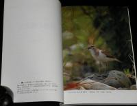 野鳥の撮影法　ネイチャー・フォトグラフィック・シリーズ3