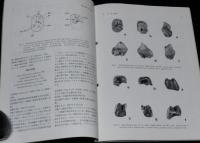 化石　第53号　平成4年11月/ハリテリウム亜科の海牛/放散虫と共生生物