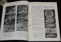 化石　第56号　平成6年6月　ステラーカイギュウ/生きている化石