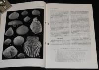 化石　第59号　平成7年12月　内湾性貝化石群集/前期三畳紀放散虫