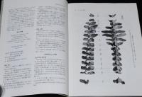 化石　第60号　平成8年6月/海牛化石/相模湾のシロウリガイ類