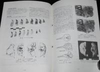 郷土と科学 No.110　1997　札幌市内の遺跡にみられる地震痕跡/歯クジラ化石発見