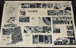 日本写真新聞　昭和32年10月8日 第48号　産業教室　塩 その用途/資料提供：日本専売公社