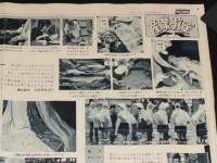 日本写真新聞　昭和32年10月8日 第48号　産業教室　塩 その用途/資料提供：日本専売公社