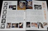 サライ 1991年12/19号　科学と遊ぶ 寺田寅彦先生の理科大学/大江戸巳之助 首展