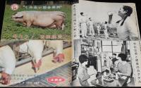 フォト 1963年8/1号　特集：日本赤十字社/ルポ：輸出おもちゃ/働く身体障害者