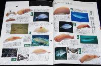 サライ 1995年7/6号　特集：こだわりの傘選び/とじ込み付録：寿司ネタ図鑑/寿司屋図鑑