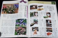 サライ 1995年7/6号　特集：こだわりの傘選び/とじ込み付録：寿司ネタ図鑑/寿司屋図鑑