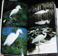 【洋書】Birds　Eastern Region　全米オーデュボン協会 北米鳥類フィールドガイド