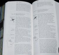 【洋書】Birds　Eastern Region　全米オーデュボン協会 北米鳥類フィールドガイド