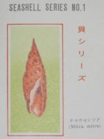 【初日カバー】琉球切手 貝シリーズ 第1集　2種セット 琉球郵便/1967.7.20