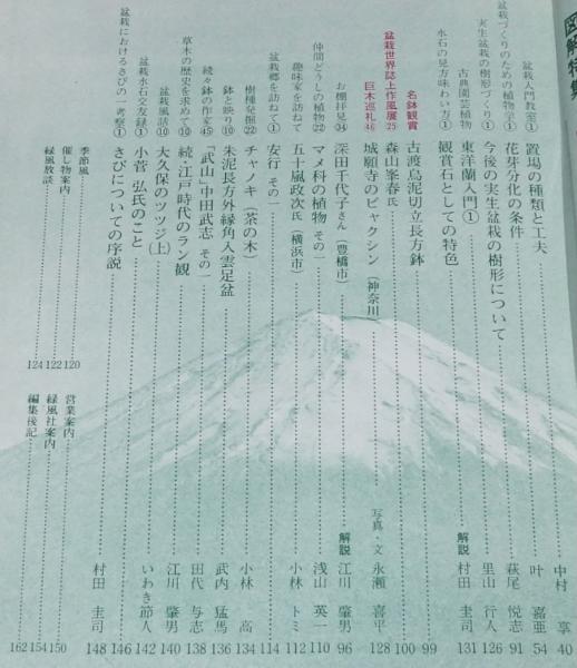 盆栽世界 1981年1月号 新春特別対談：鈴木佐市 阿部倉吉/図解特集：梅