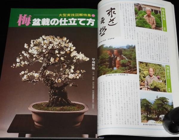 N234　盆栽世界　2008年1月号　盆栽　雑誌　趣味　専門誌 盆栽世界 1月号 (発売日2008年12月06日) | 雑誌/定期購読の予約