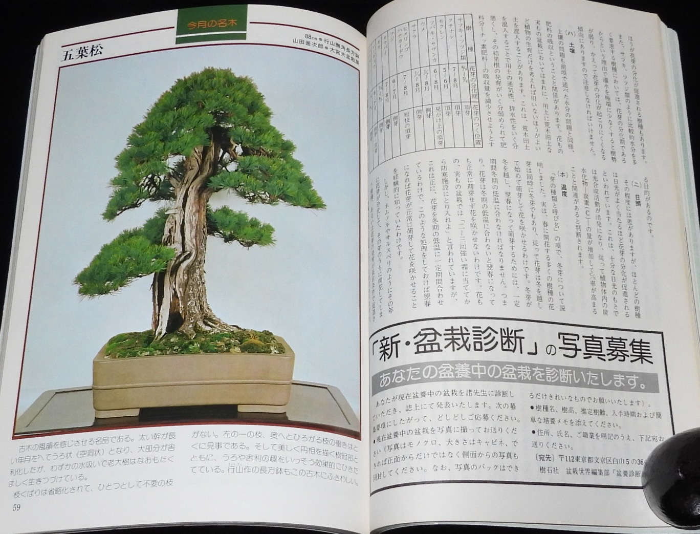 盆栽世界別冊 オール図解 盆栽技術大系①〜⑩ 盆栽本 盆栽世界別冊 オール図解 盆栽技術大系①〜⑩ 盆栽本
