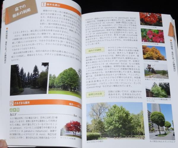 C64-165 北海道 やさしい庭づくり 北海道新聞社 書き込み・記名