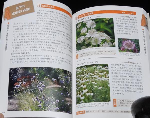 北海道の庭づくり 寒冷地に合った約220種類ものおすすめ植物