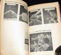 【洋書】IT'S A WORLD, WORLD, WORLD, WORLD MAD　マッド