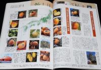 サライ 1998年11/5号　源泉の一軒宿/紳士御用達 読書用眼鏡/とじ込み付録：柿図鑑