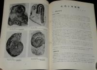 三笠市立博物館年報　第3号　化石産地探訪/博物館実務実習報告/正誤表入り