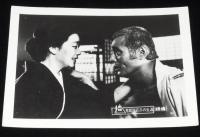 【映画スチール】鬼龍院花子の生涯　2枚セット　東映　昭和57年/仲代達矢/夏目雅子