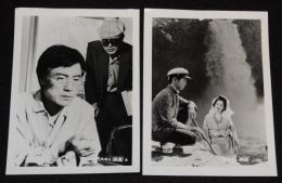 【映画スチール】天城越え　2枚セット　松竹　昭和58年/松本清張/田中裕子/渡瀬恒彦