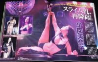 フラッシュ 2010年1/26号　甲斐まり恵 初水着/辰巳奈都子 袋とじ未開封/小向美奈子