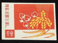 【マッチラベル】中国　温州光明火柴　5枚セット　1950年代頃/豚・鶏/牛・山羊