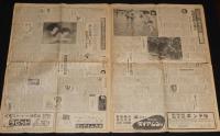 日曜新聞　第120号　昭和28年11月22日　安宅安五郎/愛知県をおそった台風13号/子供会