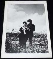 【映画パンフ】青春の門　東映　昭和56年/蔵原惟繕/深作欣二/松坂慶子/菅原文太