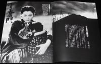 【映画パンフ】青春の門　東映　昭和56年/蔵原惟繕/深作欣二/松坂慶子/菅原文太