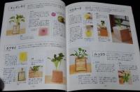 NHK趣味の園芸 やさいの時間　水耕ガーデン　深町貴子　2015年/室内でかんたん、土いらず！