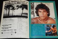 【映画パンフ】ハリケーン　日本ヘラルド映画　1979年/ミア・ファーロー/デイモン・ケイン