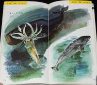 低学年のポケットずかん4　どうぶつ　学研　(C)1965/監修：古賀忠道