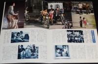 【映画パンフ】駅 STATION　東宝　昭和56年/倉本聰/高倉健/賠償千恵子/チラシ付き