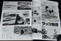 キネマ旬報　1987年7月下旬号　ビバリーヒルズ・コップ2/ルイス・ブニュエル/手塚治虫