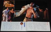 【映画パンフ】刑事物語／ロングラン　東宝　1982年公開時パンフ/武田鉄矢/吉田ルイ子