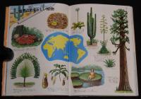 小学館の学習図鑑シリーズ1　植物の図鑑