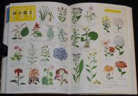 小学館の学習図鑑シリーズ1　植物の図鑑
