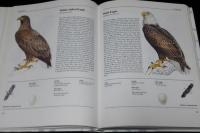 【洋書】THE ILLUSTRATED ENCYCLOPEDIA OF BIRDS　鳥類図解百科事典/イラスト800点以上