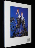 【洋書】THE SURVIVAL WORLD OF BIRDS　Boxtree　鳥の生存世界