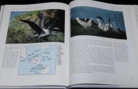 【洋書】THE SURVIVAL WORLD OF BIRDS　Boxtree　鳥の生存世界