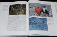【洋書】THE SURVIVAL WORLD OF BIRDS　Boxtree　鳥の生存世界