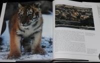【洋書】THE NATURE OF RUSSIA　Boxtree　ロシアの自然