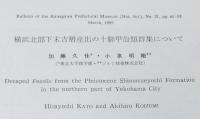 【資料】横浜北部下末吉層産出の十脚甲殻類群衆について